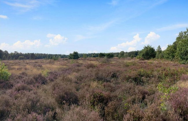 Bungalow in Veluwe Nature Park Retreat - Foto 36