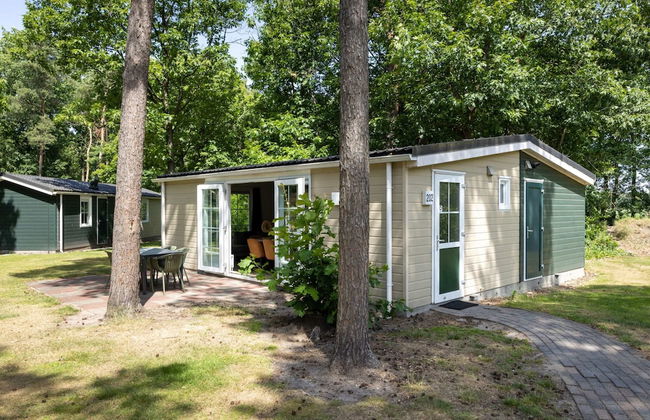 Chalet in De Peel Near Forest - Foto 1