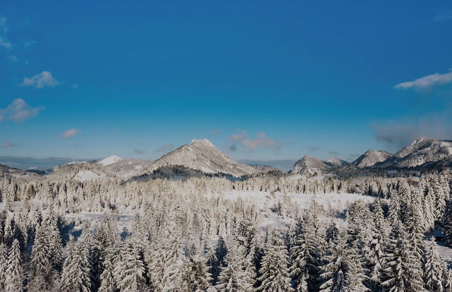 Alpin Lodges - Foto 44