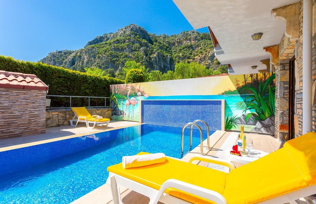 Villa Canan Paradise - Foto 41