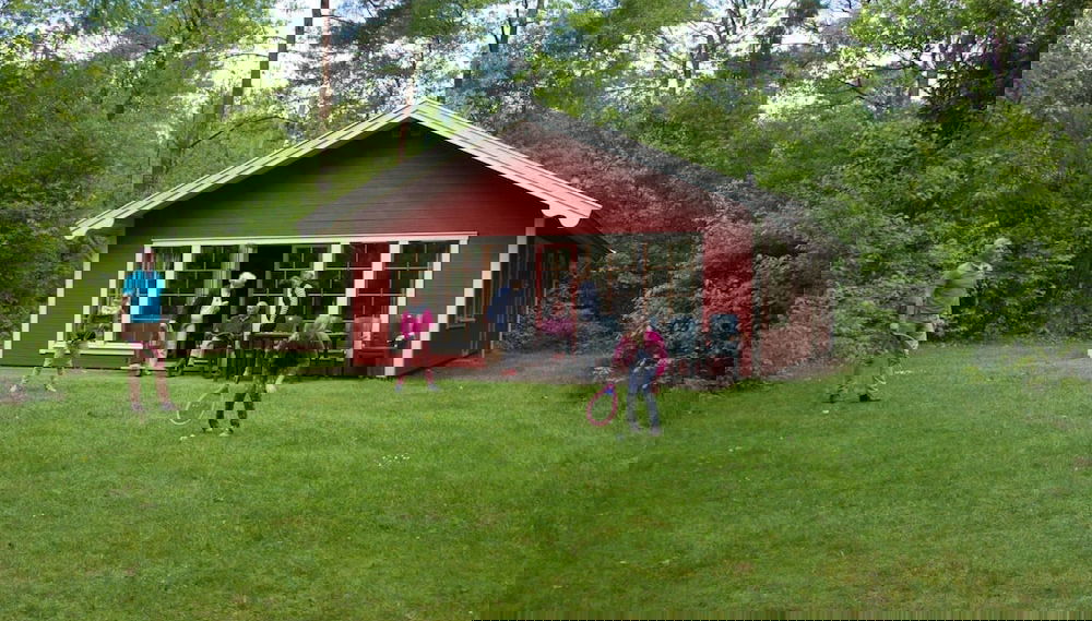 Primary image