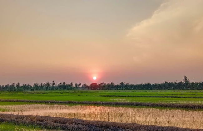 Kurau Inn Farmstay - Foto 29