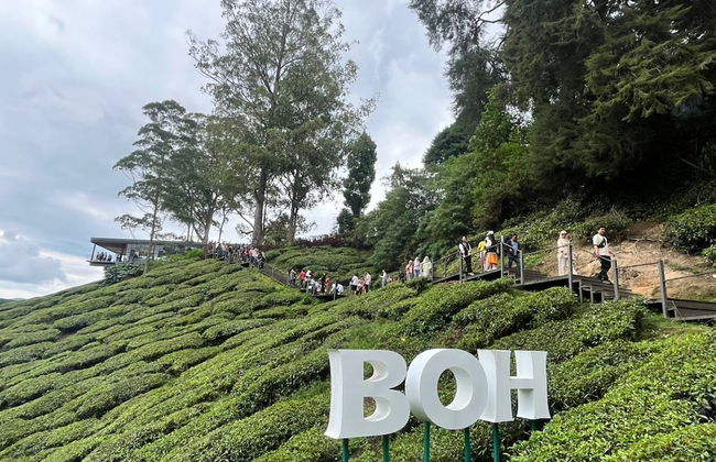 The Retreat Hotel at Cameron highlands - Photo 60