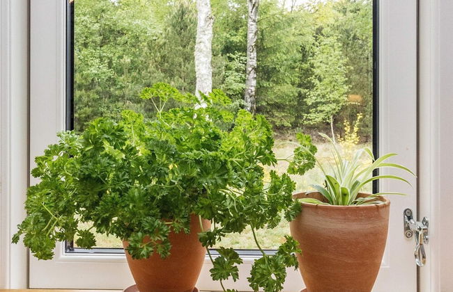 6 Person Holiday Home in Laeso-by Traum - Photo 17