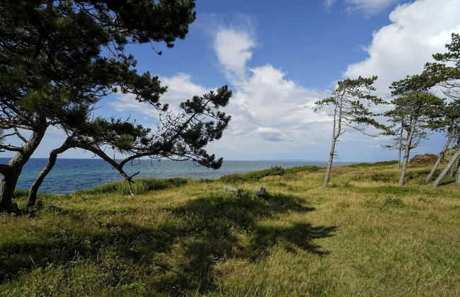 Pet Friendly Holiday Home in Dronningmølle near Sea - Foto 10
