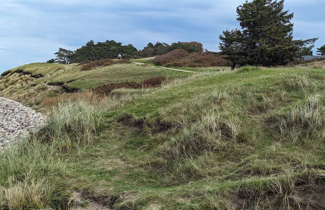 Pet Friendly Holiday Home in Dronningmølle near Sea - Foto 12
