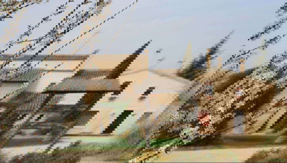 Imagem principal
