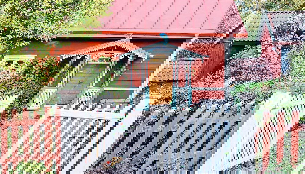 Image principale