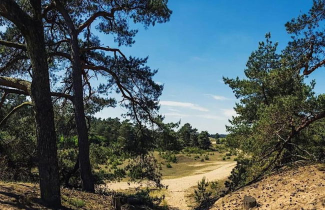 Detached Bungalow With Wifi, Located at Park De Veluwe - Foto 26
