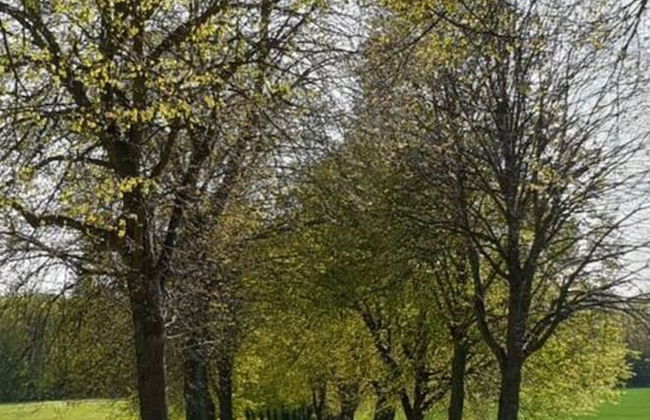 Holiday Apartment Auszeit - Foto 23