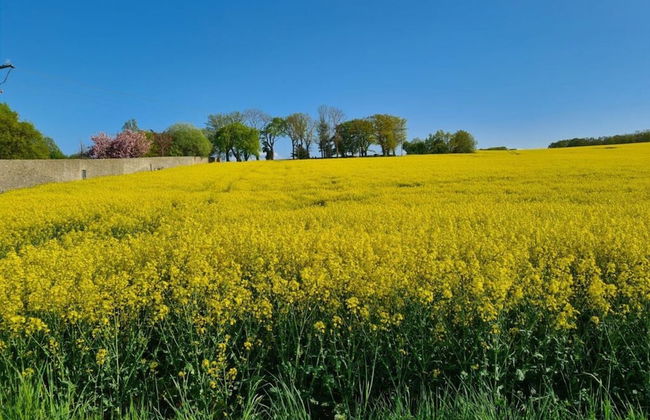 Holiday Apartment Auszeit - Foto 14