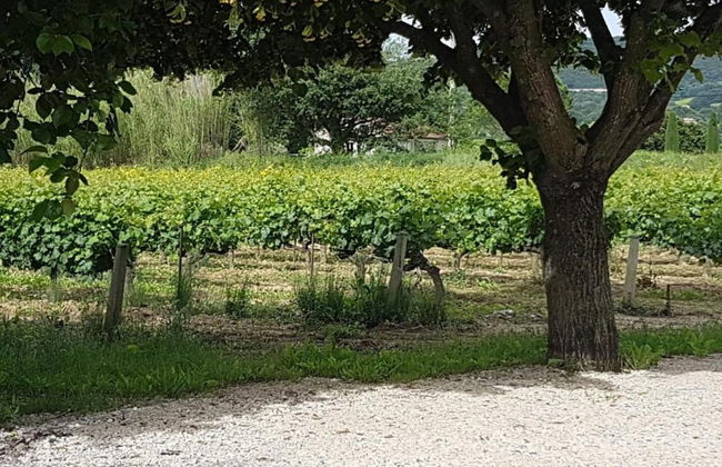 Holiday Home Vaison With Private Pool - Foto 41