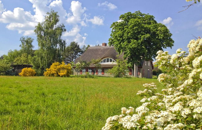 Old Shipman's House Comfortable Holiday Residence - Foto 37