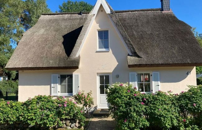 Holiday House Beach Rider - Photo 38