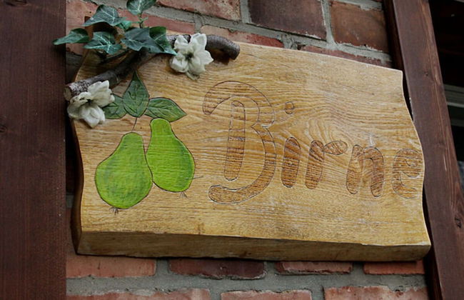 Pear - On the Fruit Tree - Photo 13