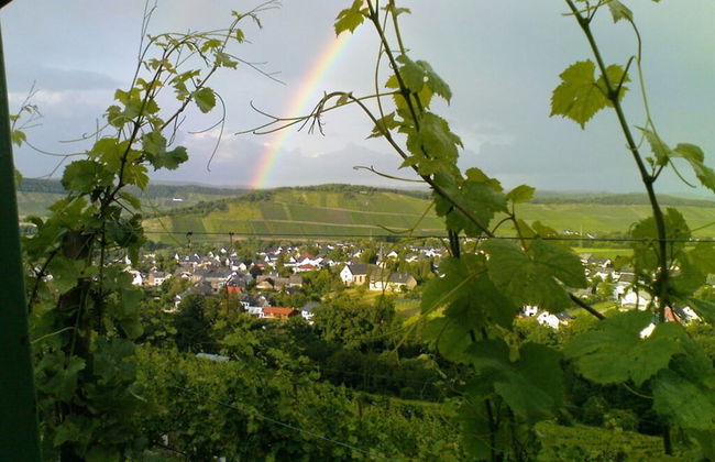 Muhlenhof - Muller Thurgau - Foto 13