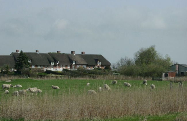 Holiday Home Ockholm - Foto 28