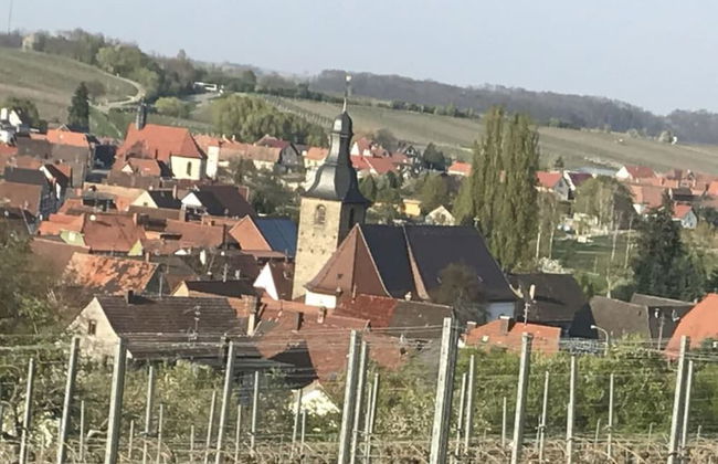 Apartment in Pleisweiler-oberhofen - Foto 19