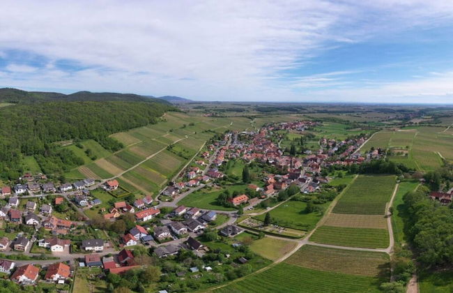 Apartment in Pleisweiler-oberhofen - Foto 20