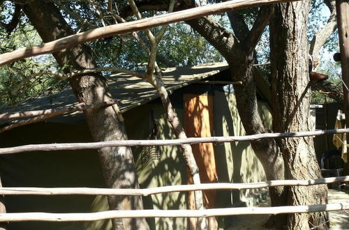 Foto 14 - 3 bed Bush-tent Under 3 Trees, for Couple Plus Chaperone Free Lionhyena Sounds