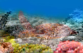 Foto 3 - Papakea D108
