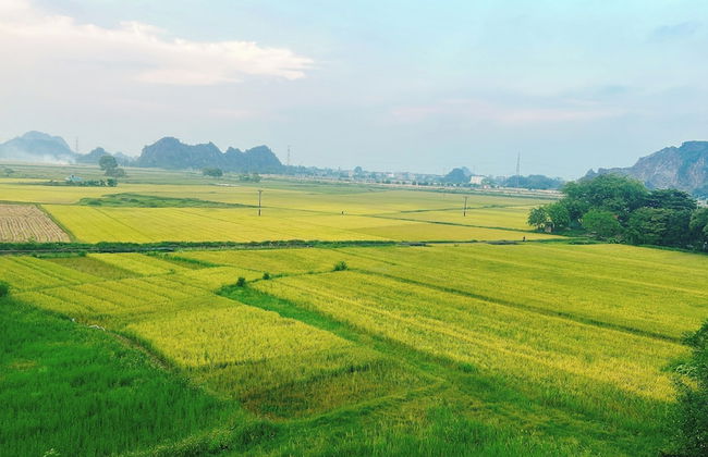 Trang An Ao dai Homestay - Foto 38