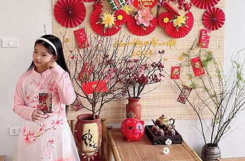 Photo 58 - Trang An Ao dai Homestay