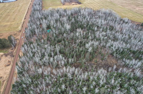 Photo 7 - Barnum Cabin on 30 Acres w/ Soo Line Trail Access