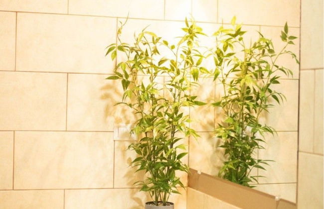 Cabañita Villa de Ada - Photo 5