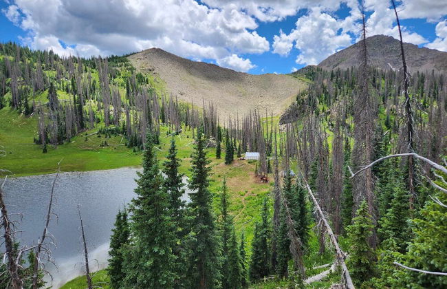 Backcountry Outfitters - Foto 16