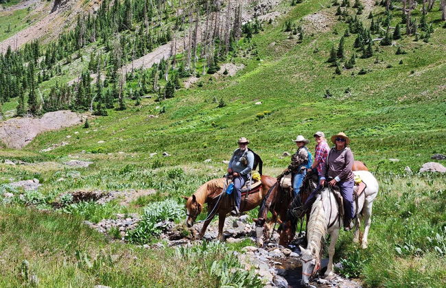 Backcountry Outfitters - Foto 26