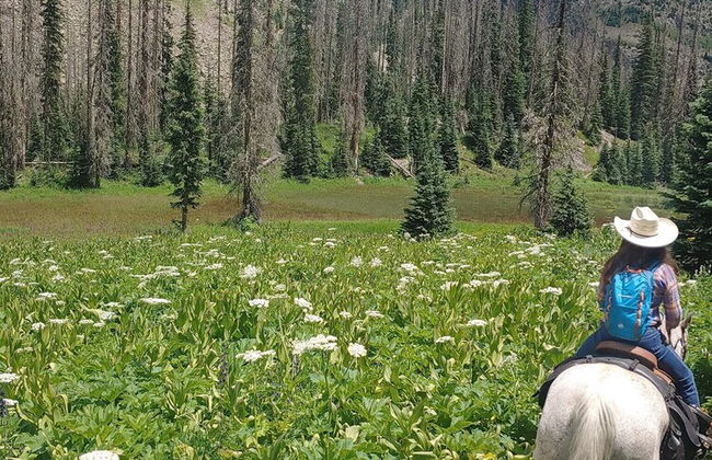 Backcountry Outfitters - Foto 22