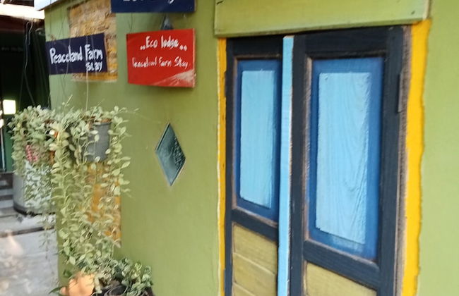 peaceland farmstay - Foto 18