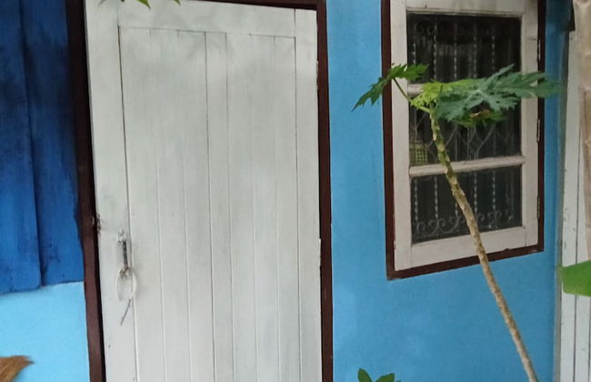 peaceland farmstay - Foto 24