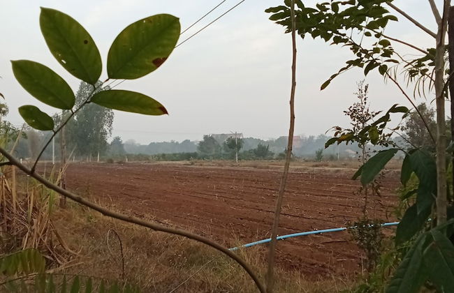 peaceland farmstay - Foto 55