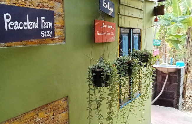 peaceland farmstay - Foto 11