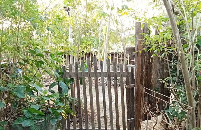 peaceland farmstay - Foto 50