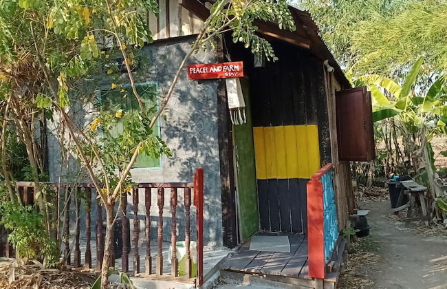 peaceland farmstay - Foto 53