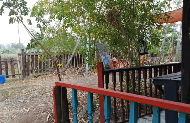 peaceland farmstay - Foto 51