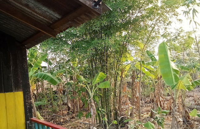 peaceland farmstay - Foto 46