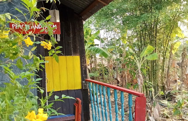 peaceland farmstay - Foto 47