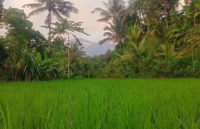 Lingkung Park Tetebatu - Foto 12