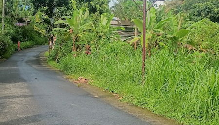 Photo 1 - Lingkung Park Tetebatu