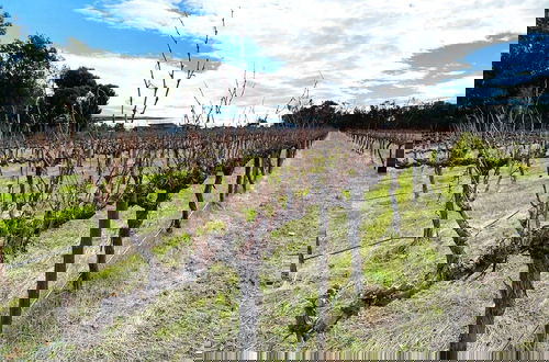 Foto 18 - Barossa Getaway GabbyHouse with Vineyard