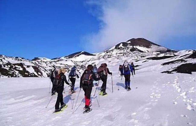 Central Station House Riccardo - Photo 20