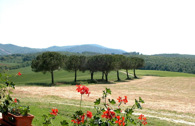 Apartment Between Pisa and Livorno - Foto 42