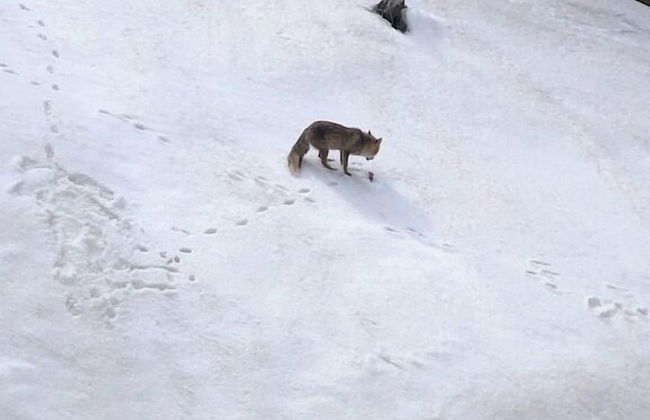 Appartamento Vacanze Sestriere - Photo 14
