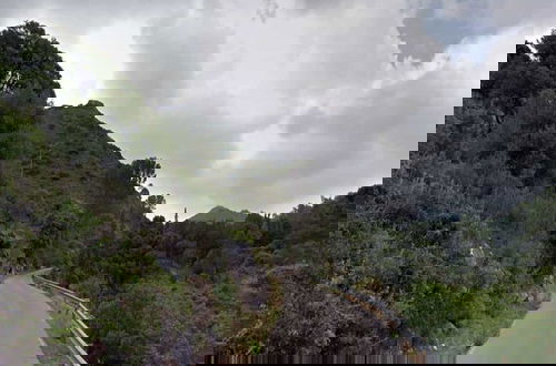 Photo 26 - El Bosque de la Mairena