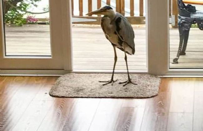 Host Stay Quayside Cottage - Foto 12