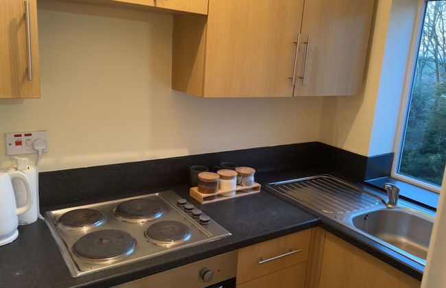 Modern Apt - City Views - Parking - Sleeps 3 - Photo 10